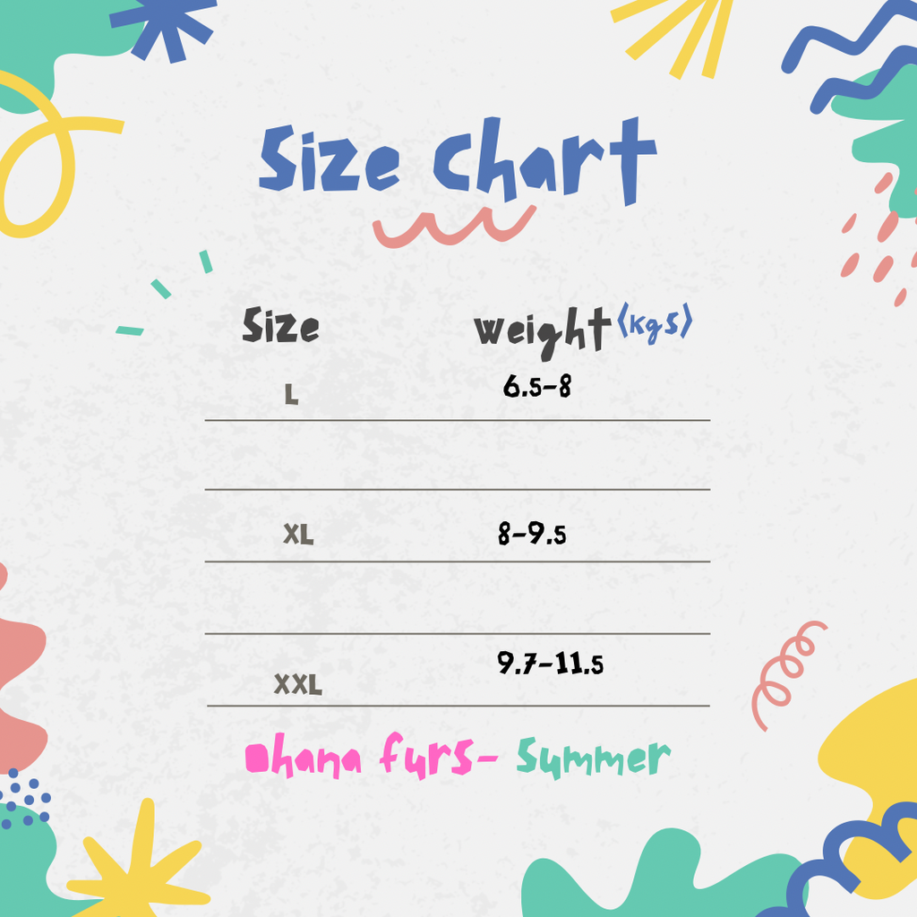 Playful Modern Lines Size Chart Instagram Post.webp