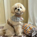 IMG_1182.webp