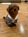 IMG_1224.webp