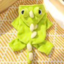 Dinosaur 🦕 onesie