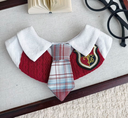 Harry Potter Inspired Bandana🪄