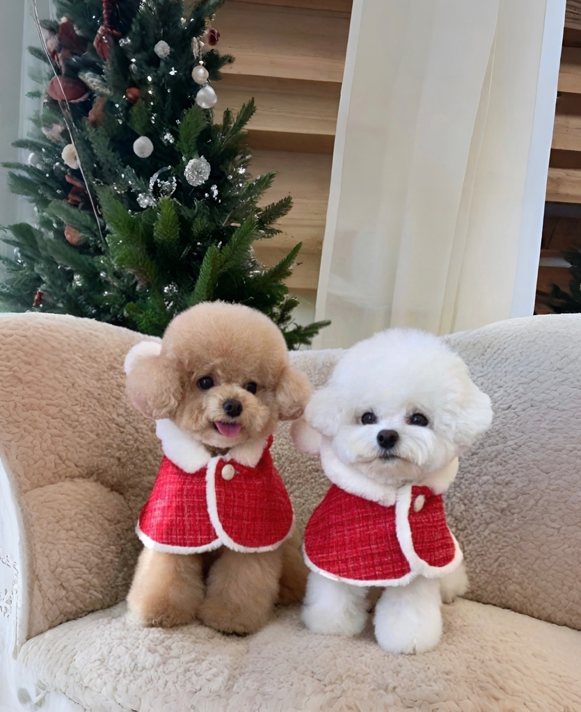 Christmas Bear cape 🎄 (S)