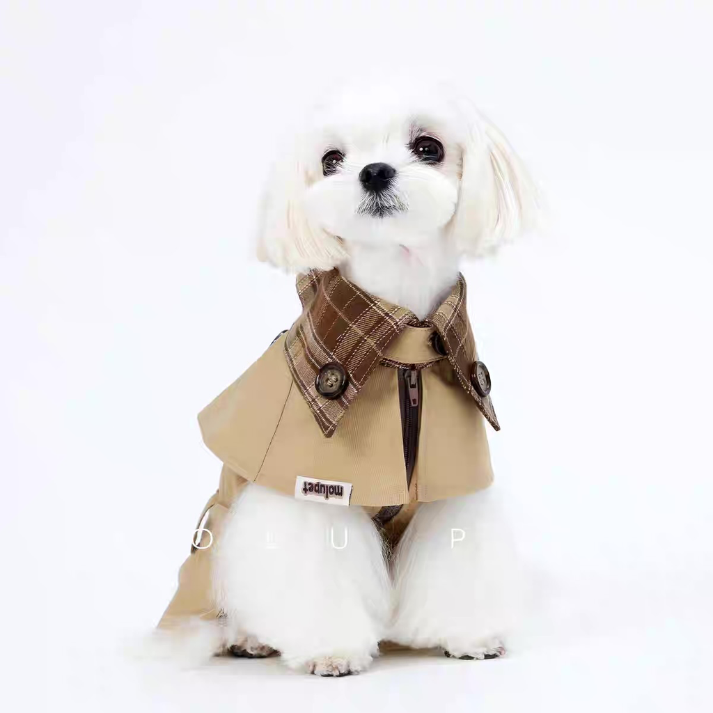 The French Coat🧥