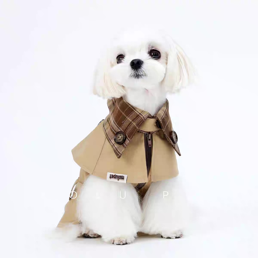 The French Coat🧥