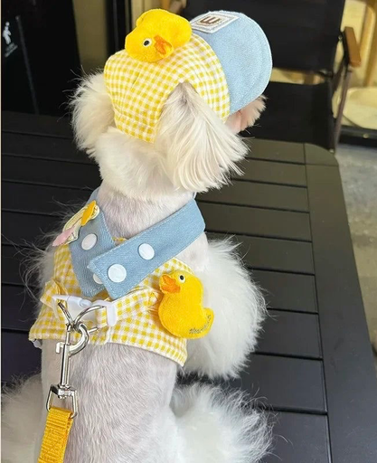 Yellow duck harness leash set with cap (for dogs under 2kgs)